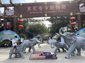 端午小長假   近4萬遊客家門口逛動物園